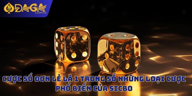 Cược số đơn lẻ là 1 trong số những loại cược phổ biến của Sicbo
